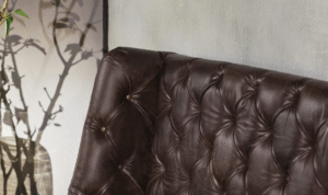 CAMA-AZZTOR-DET-scaled